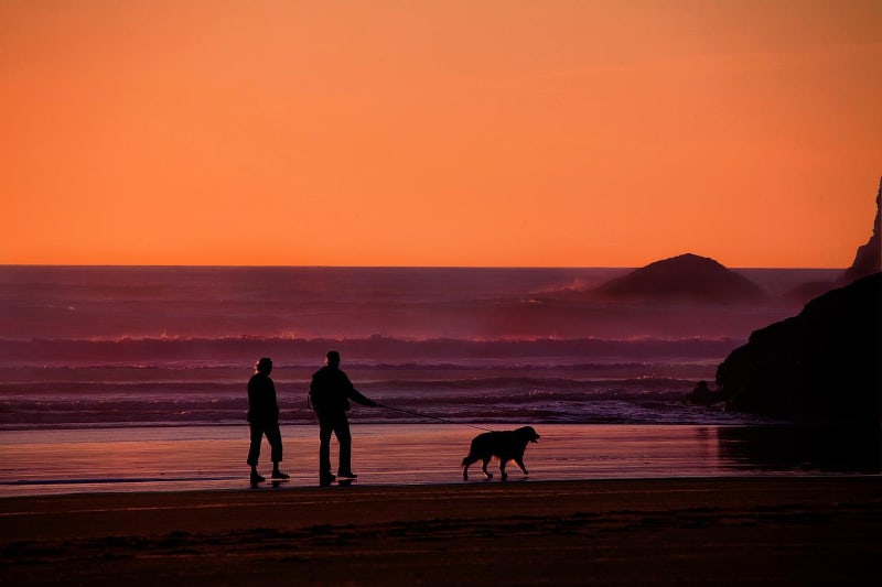3 keys to a happy retirement - couple and dog on beach